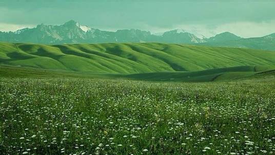 天山の草原