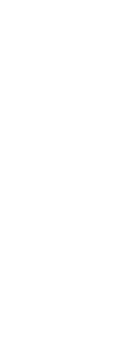 森羅万象 天山蜂蜜