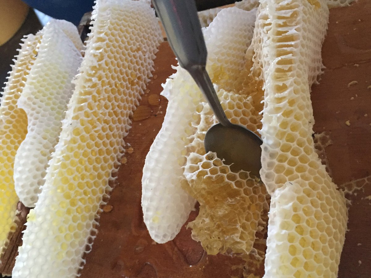 スプーンですくう完熟の巣蜜